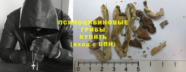 тгк Горно-Алтайск