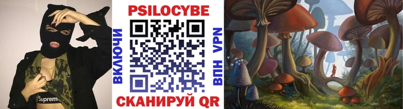 купить закладку  Тихорецк  shop официальный сайт  Псилоцибиновые грибы мицелий 